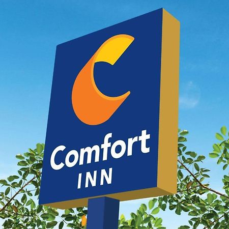 Comfort Inn Martinsville Bagian luar foto